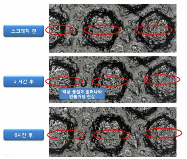 스크래치 복원 이미지(1)