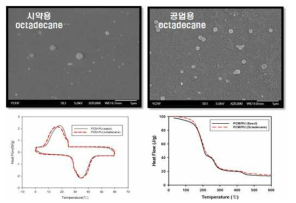 시약용과 공업용 octadecane의 SEM, DSC, TGA data