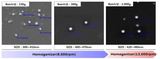 Batch Size별 온도제어 나노캡슐 SEM 사진