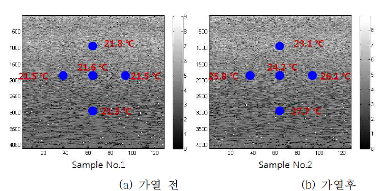 Hot Plate로 가열 전후 써모커플로 측정된 Phantom 내 온도 분포