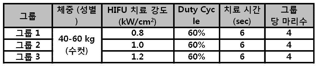 동물 실험 절차