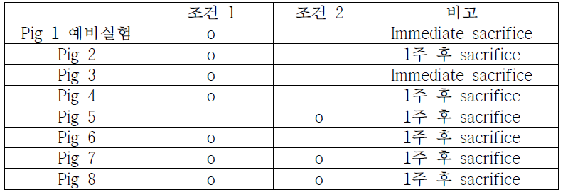 동물 실험 진행 조건