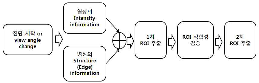 영상의 ROI를 추출하는 Diagram을 나타냄, Intensity와 Structure