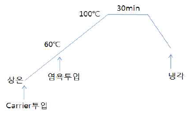 PET의 캐리어 염색 공정