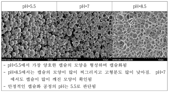 반응 pH에 따른 캡슐의 제조 상태 비교