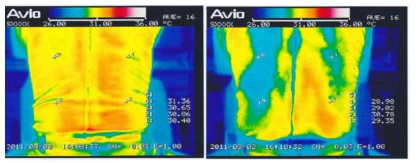 IR 열화상 장비를 이용한 냉감 성능 평가 예