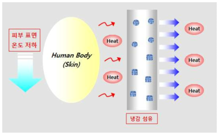 접촉냉감성 발현 모식도