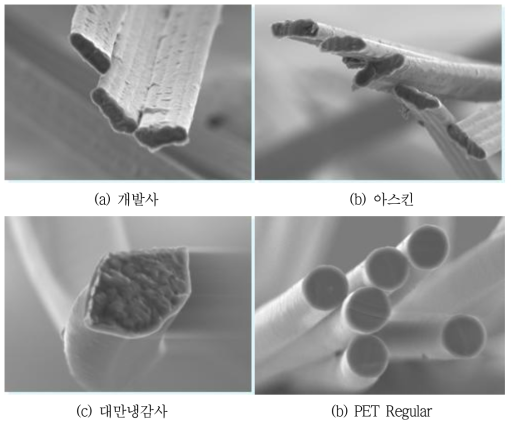 조직 설계 및 편직에 사용하고자 하는 원사의 SEM 사진