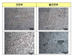 프레임 미세조직