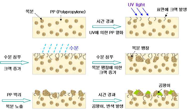 자연환경에 노출된 목재 플라스틱 복합재의 열화 메카니즘