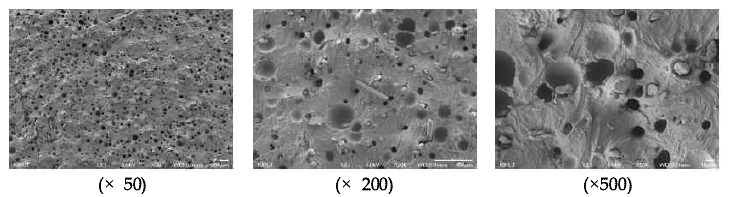 성형품 위치에 따른 SEM 분석 결과 (200배율)