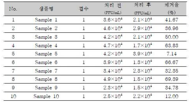 2차 샘플의 MS-2 bacteriophase 분석결과