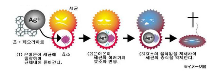 은제올라이트의 항균 메커니즘