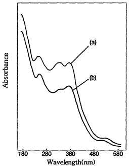 자외ㆍ가시부 흡수 스펙트럼