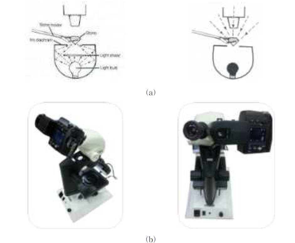 (a) 광학현미경 모식도 (b) 광학현미경의 모습