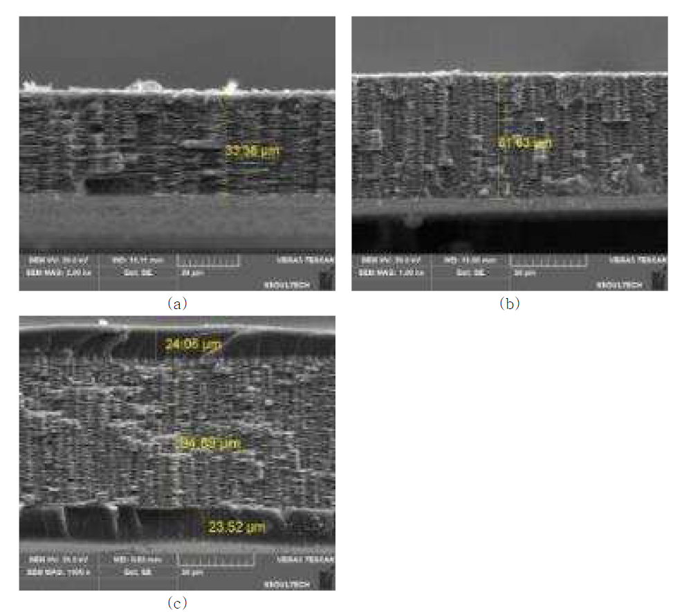 자개의 SEM 분석결과, (a) 박편자개 얇은부분, (b) 박편자개 두꺼운 부분, (c) 코팅자개.