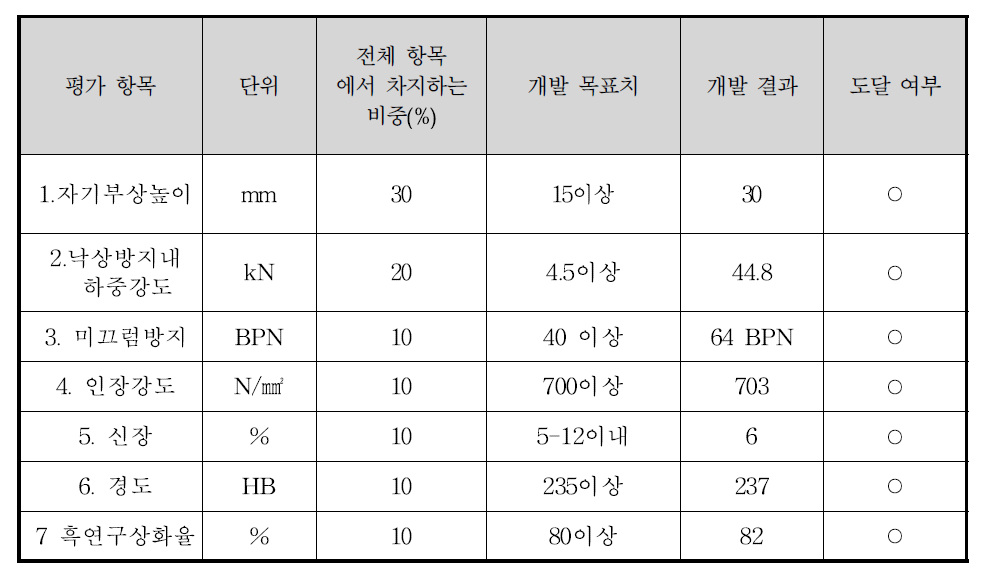 개발목표와결과