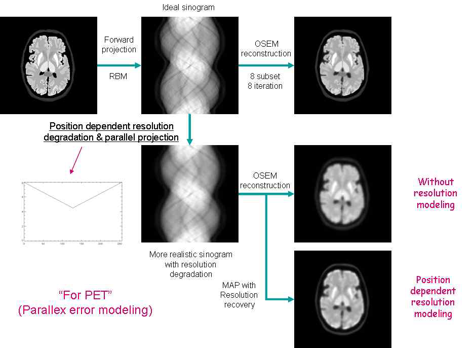 PET의 시차오류에 의한 영상해상도 저하를 모델링한 재구성 결과