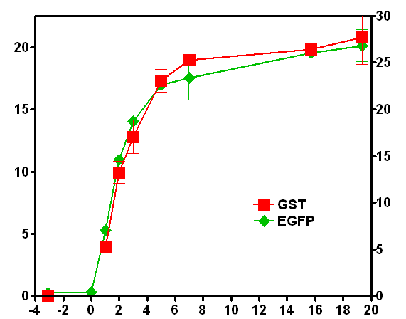 pGST-FS1-EGFP vector로 형질전환 된 E.coli Novablue(DE3)에서 발현되는 GST 단백질의 활성과 EGFP 단백질의 녹색형광의 시간에 따른 변화