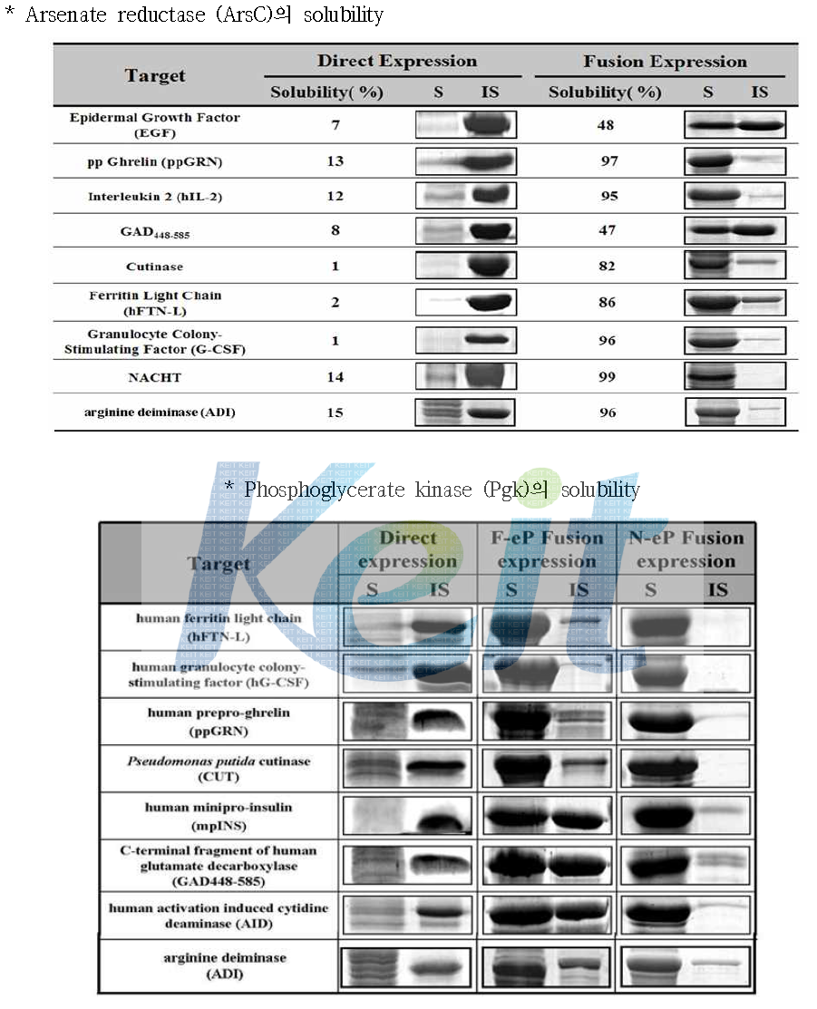ArsC, Pgk의 수용성 형태 발현