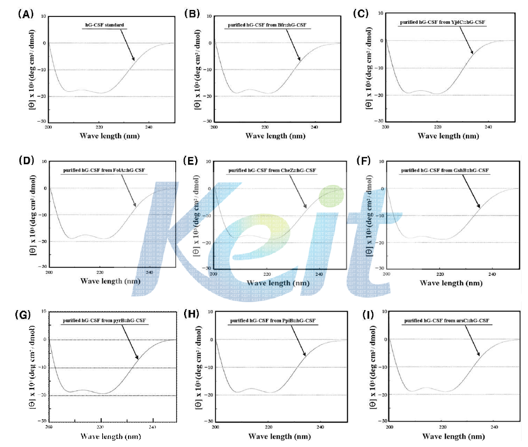 천연형의 hG-CSF (A)와 정제된 hG-CSF [(B) Bfr, (C) YjdC, (D) FolA, (E) CheZ, (F) GshB, (G) PyrB, (H) PpiB, (H) arsC]의 CD 분석을 통한 단백질 2차구조 비교