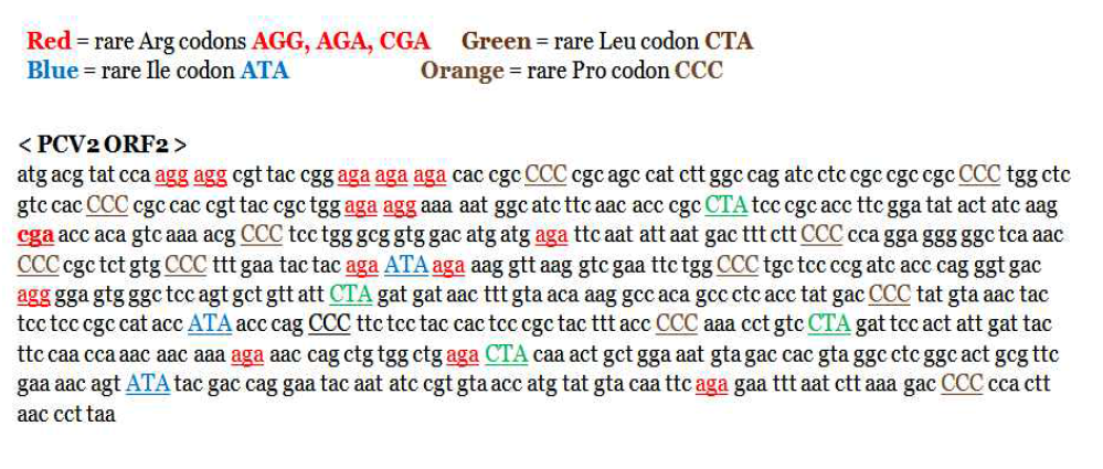 Rare codons in PCV2 ORF2