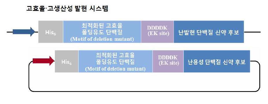 스트레스반응성 단백질 융합시스템