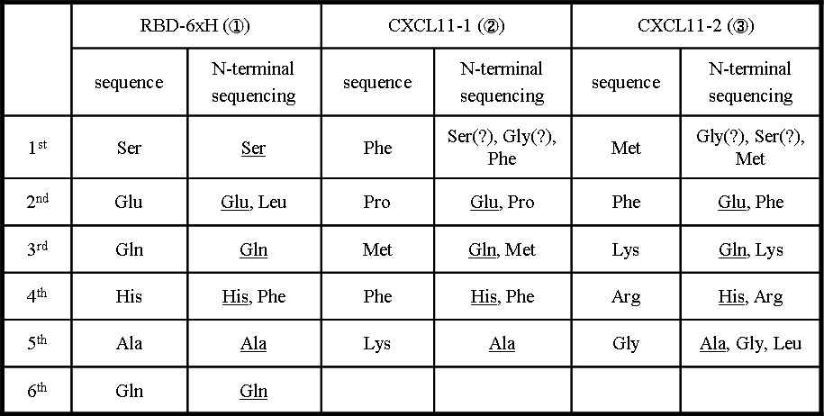 N-terminal sequencing of target proteins