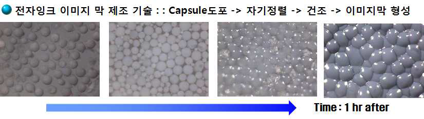 전자잉크 코팅 :마이크로캡슐 도포 단계