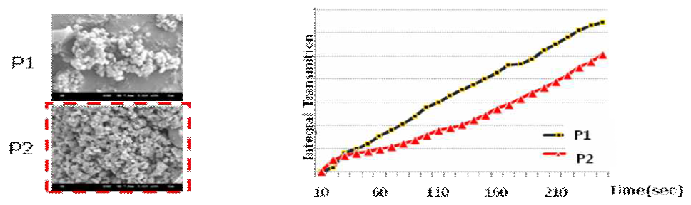 TiO2 별 입도 분포 및 안정성 측정 결과