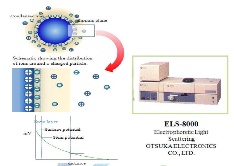 ELS-8000과 제타 전위 측정