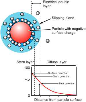 Schematic representation of zeta potential