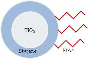 Scheme of hybrid particle