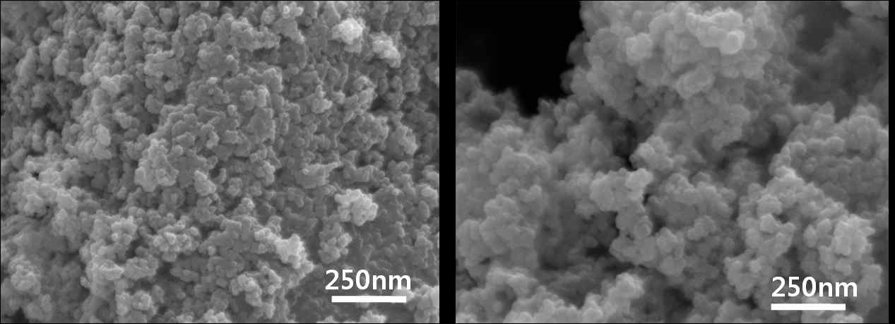 Poly(styrene-co-imidazole)로 코팅된 Black 444 SEM image