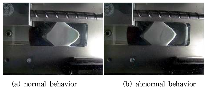 Normal & abnormal behavior on rubber friction test