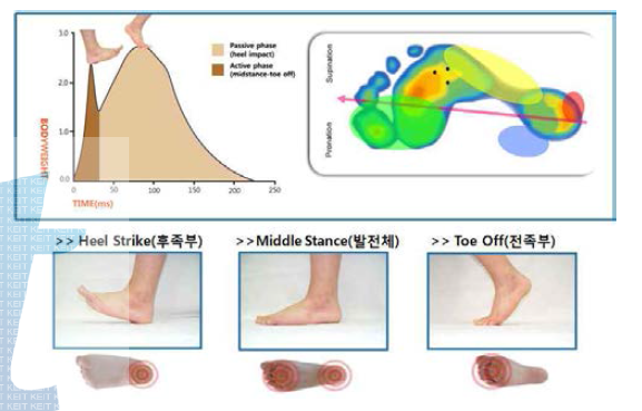 생체역학적 성능평가 족저압력 분석