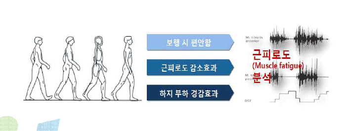 생체역학적 성능평가 근피로도 분석