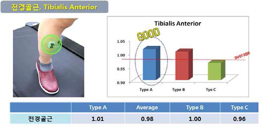 2단계 2차년도 5차 시제품 전경골근 측정 결과
