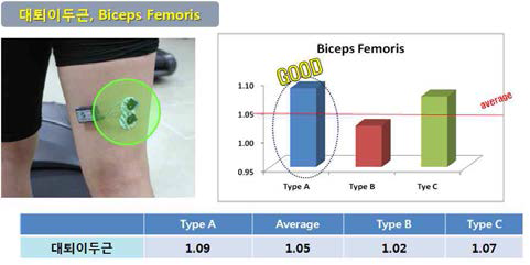 2단계 2차년도 5차 시제품 대퇴이두근 측정 결과