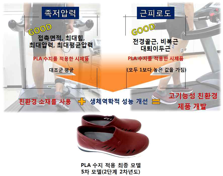 2단계 2차년도 5차 시제품 족저압력 및 근피로도 분석 요약