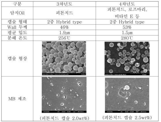 3차년도, 4차년도 제조 MB의 비교