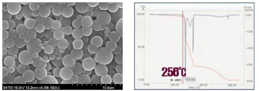 M5 마이크로캡슐의 SEM 및 TGA 분석