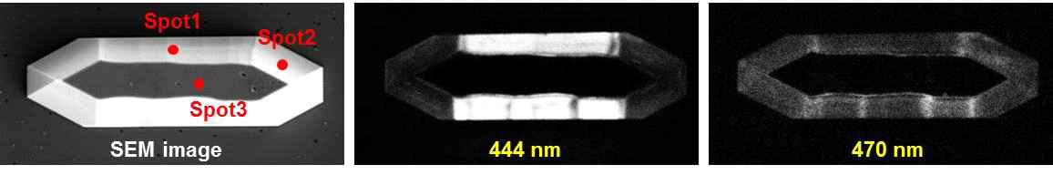 구조체의 SEM 사진 및 단색광 이미지 (444nm, 470nm)
