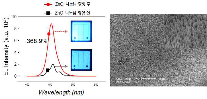 수직구조 LED 표면에 ZnO 나노팁 형성으로 인한 광량 증가 그래프 및 광학현미경 사진