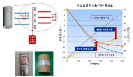 선택적 가스 투과막 적용 연구 결과