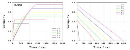 전기화학적 활성화 공정 profile (B-900)