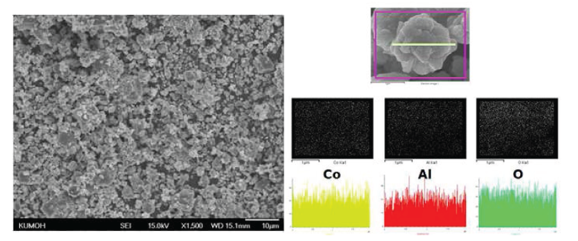 SEM image and EDS map of Co3O4 powder substituted Al