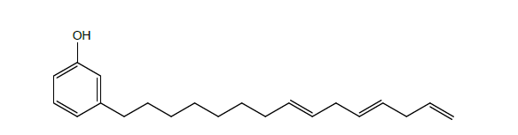 Cardanol 화합물의 분자 구조