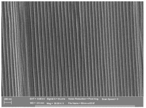 AAO(Anodic Aluminum Oxide)의 단면 이미지