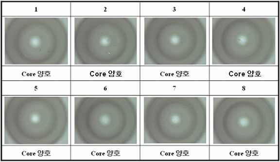 복제 투명 코어의 렌즈부표면 및 외관측정 결과